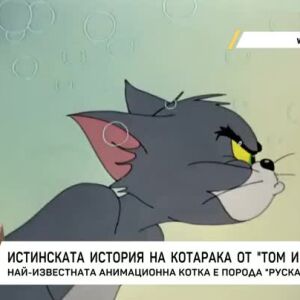 Снимка: Истинската история на котарака от "Том и Джери"