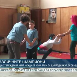 Снимка: Различните шампиони
