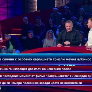 Снимка: Кой да знае?: Гост-звезди Ива Тодорова и Петър Калчев - 12.05.2025 (1 част)