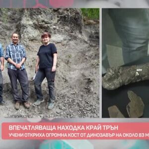 Снимка: Какъв е бил животът по нашите земи преди 80 млн. години?