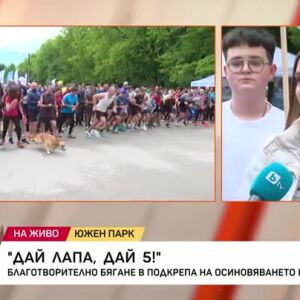 Снимка: Благотворително бягане в подкрепа на осиновяването на кучета