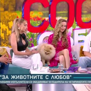 Снимка: Любими изпълнители се обединяват в подкрепа на животните