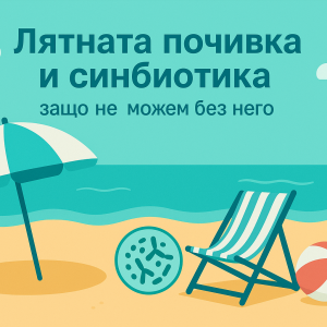 Снимка: Лятната почивка и синбиотика – защо не можем без него