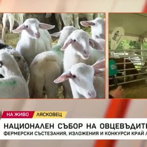 Снимка: Национален събор на овцевъдите