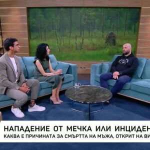 Снимка: Инцидент или нападение от мечка?