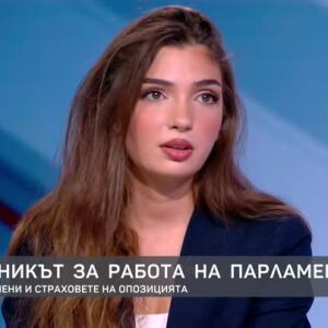Снимка: Анна Бодакова за бюджета за култура и правилника за работа на парламента