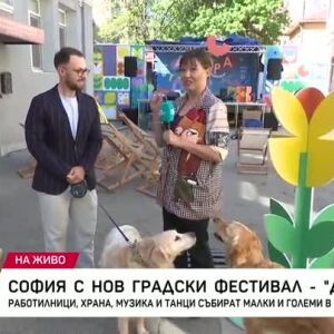 Снимка: София - с нов градски фестивал "Двора"