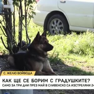 Снимка: Как ще се борим с градушките?