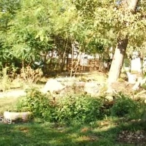 Снимка: Биоградина сред панелките