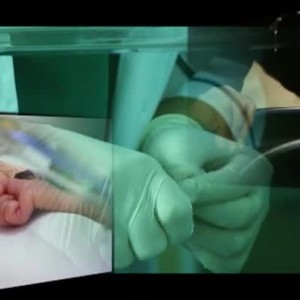 Снимка: bTV Репортерите: Шепа живот