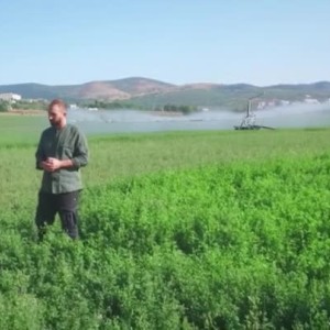 Снимка: Градините на Дерони