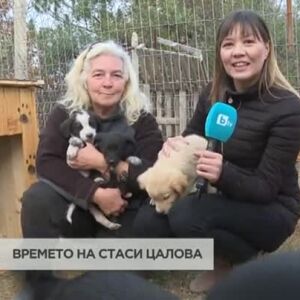 Снимка: Как да осиновим кученце?