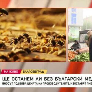 Снимка: Ще останем ли без български мед?