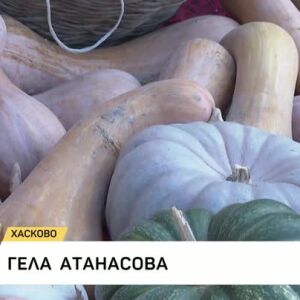 Снимка: Празник на тиквата