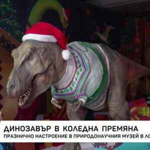 Снимка: Динозавър в коледна премяна