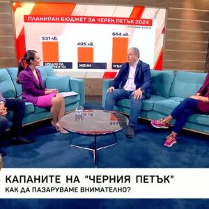 Снимка: Капаните в пазаруването на промоции