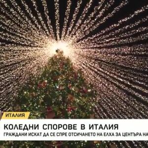 Снимка: Протест срещу отсичане на 200-годишна елха