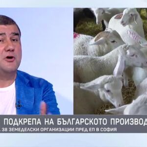 Снимка: Защита и подкрепа на българското производство