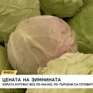 Снимка: Цената на зимнината
