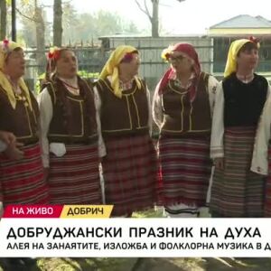 Снимка: Добруджанският празник на духа - традициите оживяват