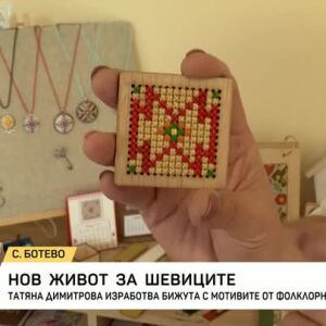 Снимка: Нов живот за шевиците