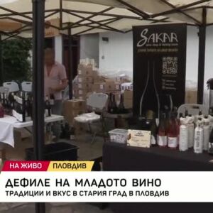 Снимка: Дефиле на младото вино