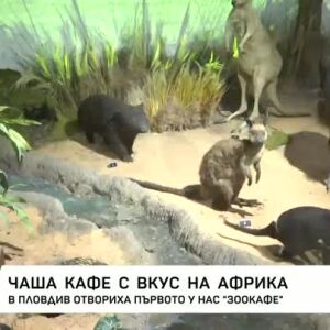 Снимка: В Пловдив отвориха първото у нас зоокафе