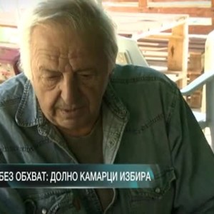 Снимка: Без обхват: Долно Камарци избира