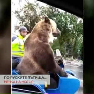 Снимка: Историите от света - 01.10.2017 г.