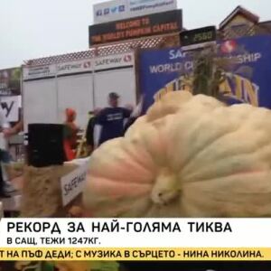 Снимка: Рекорд за най-голяма тиква