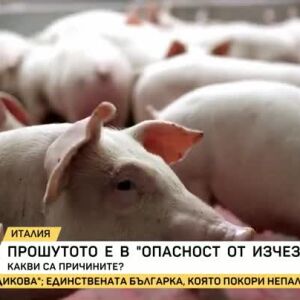 Снимка: Ще оцелее ли прошутото?