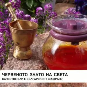 Снимка: Качествен ли е българският шафран?