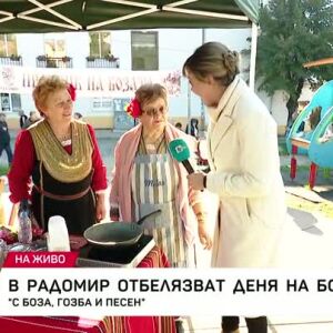 Снимка: В Радомир отбелязват Деня на бозата