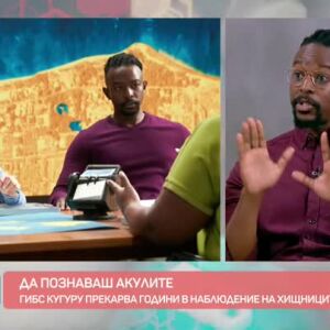 Снимка: Да познаваш акулите