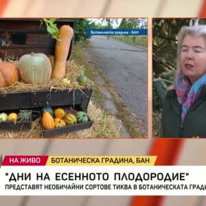 Снимка: Дни на есенното плодородие