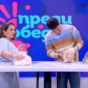 Снимка: Започваме деня в компанията на... котенца