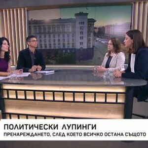 Снимка: Политически лупинги