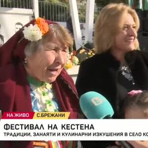 Снимка: Фестивал на кестена