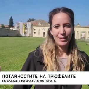 Снимка: Потайностите на трюфелите