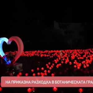 Снимка: На приказна разходка в Ботаническата градина на БАН