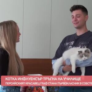 Снимка: Котка инфлуенсър тръгна на училище