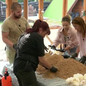 Снимка: Как се отглеждат гъби?