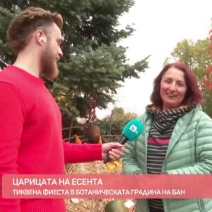 Снимка: Царицата на есента - тиквата