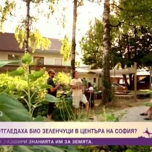 Снимка: Как в детска градина в София се появиха лехи с био зеленчуци?