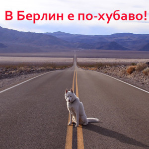Снимка: Вълчицата е емигрирала в Германия, няма да се връща у нас