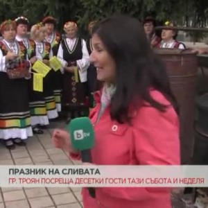 Снимка: Празникк на сливата
