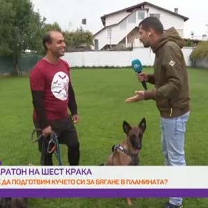 Снимка: Маратон на шест крака