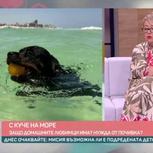 Снимка: С куче на море или не?
