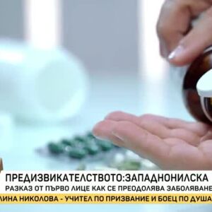 Снимка: Предизвикателството западнонилска треска