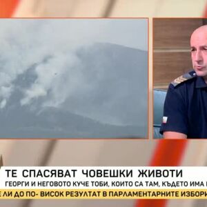 Снимка: Какво коства да си пожарникар?
